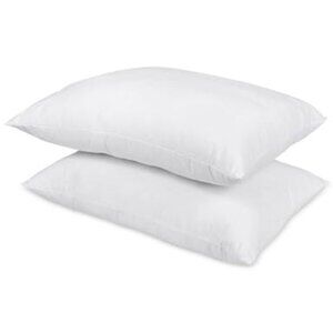 Home Design Down-Alternative 2-Pack Pillows, Standard/Queen